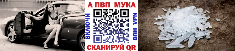 Купить закладки  Шенкурск  Alpha-PVP мука 