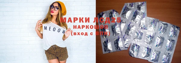 ГАЛЛЮЦИНОГЕННЫЕ ГРИБЫ Кулебаки