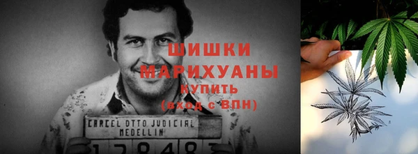 ГАЛЛЮЦИНОГЕННЫЕ ГРИБЫ Кулебаки