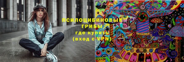ГАЛЛЮЦИНОГЕННЫЕ ГРИБЫ Кулебаки