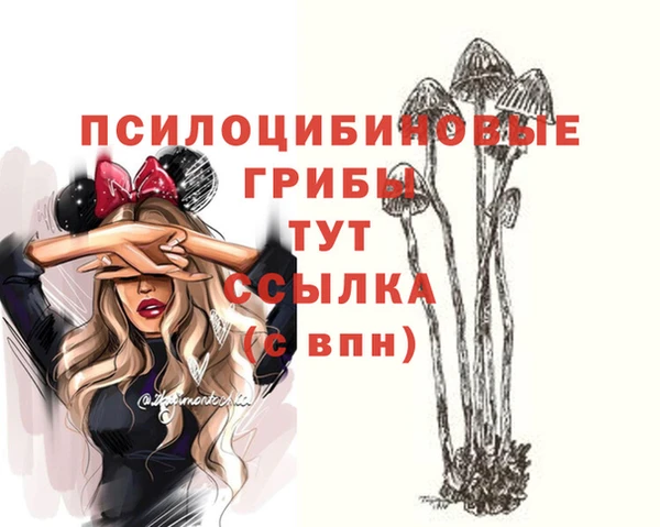 МДПВ Куйбышев