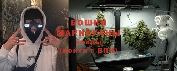 ГАЛЛЮЦИНОГЕННЫЕ ГРИБЫ Кулебаки